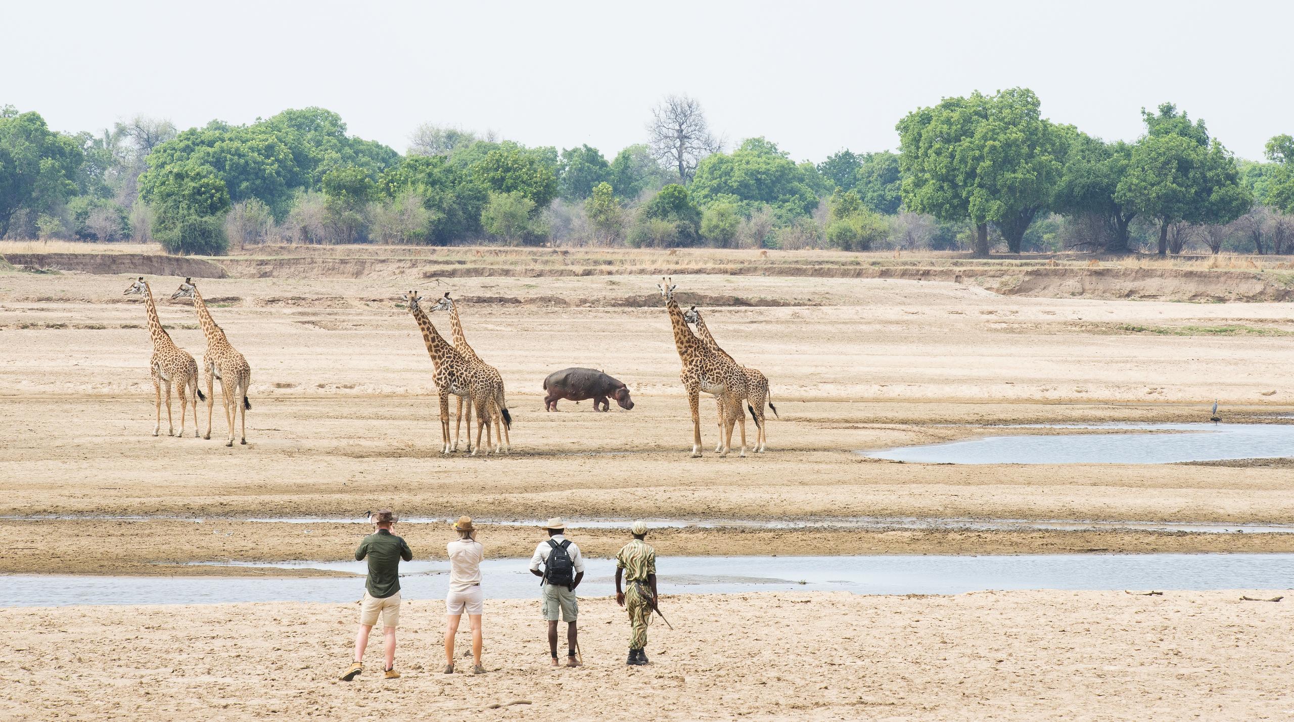 Mwamba Bush Camp